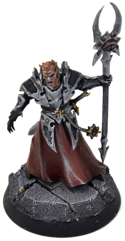 SLAVES TO DARKNESS Chaos Lord Sorcerer #1 Sigmar