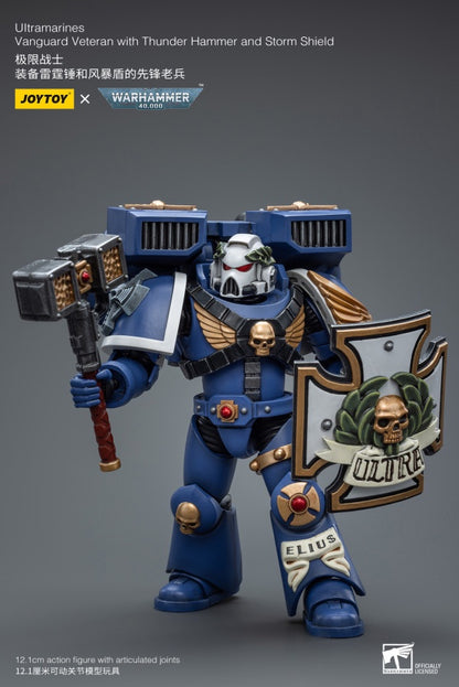 Vanguard Veteran with Thunder Hammer and Storm Shield Ultramarines Joy Toy