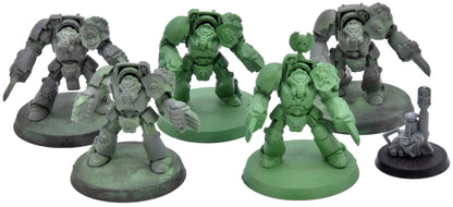SPACE MARINES 5 Terminators #7 Warhammer 40K