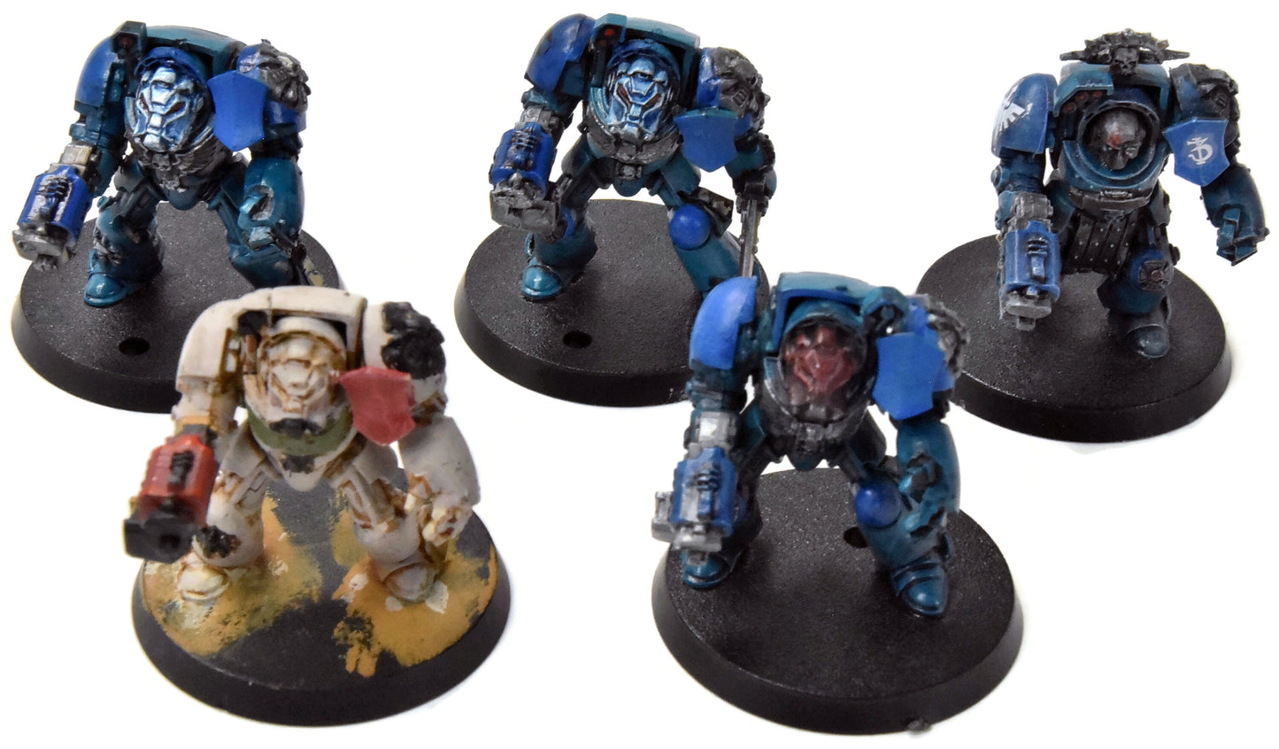 SPACE MARINES 5 Terminator Squad #1 Warhammer 40K 4801