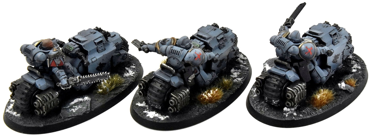 SPACE WOLVES 3 Outriders #1 PRO PAINTED Warhammer 40K