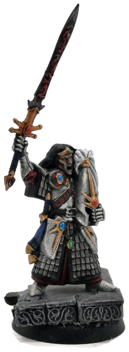HIGH ELVES Champion Of Hoeth #1 WELL PAINTED Warhammer Fantasy