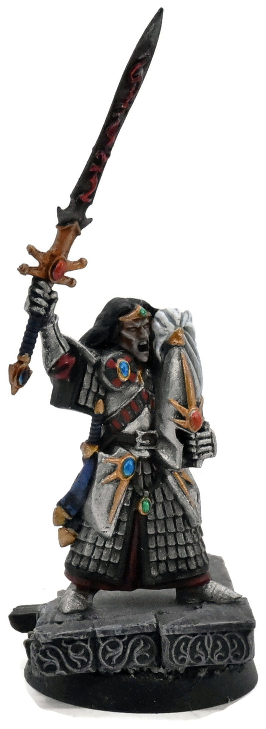 HIGH ELVES Champion Of Hoeth #1 WELL PAINTED Warhammer Fantasy