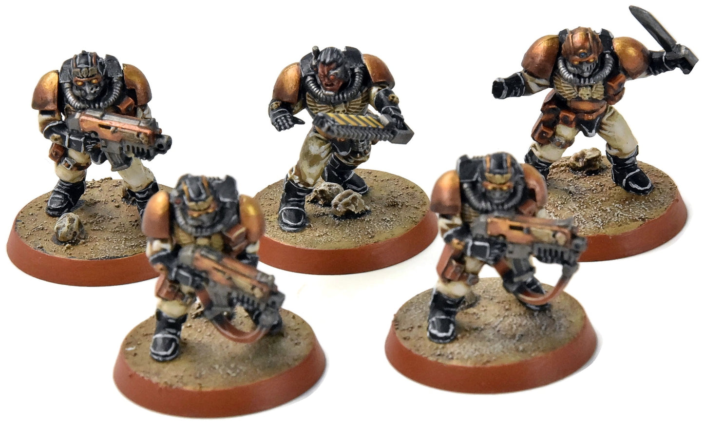 SPACE MARINES 5 Scouts #3 missing one hand PRO PAINTED Warhammer 40K
