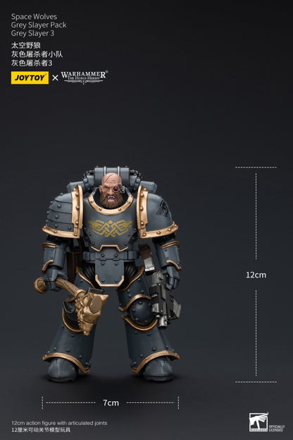 Grey Slayer Pack Grey Slayer3 Space Wolves Joy Toy