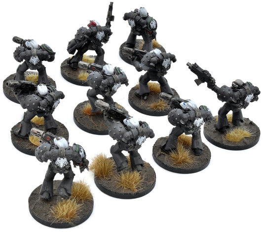 SPACE MARINES 10 Veterans #2 WELL PAINTED Warhammer 40K Raven Guard