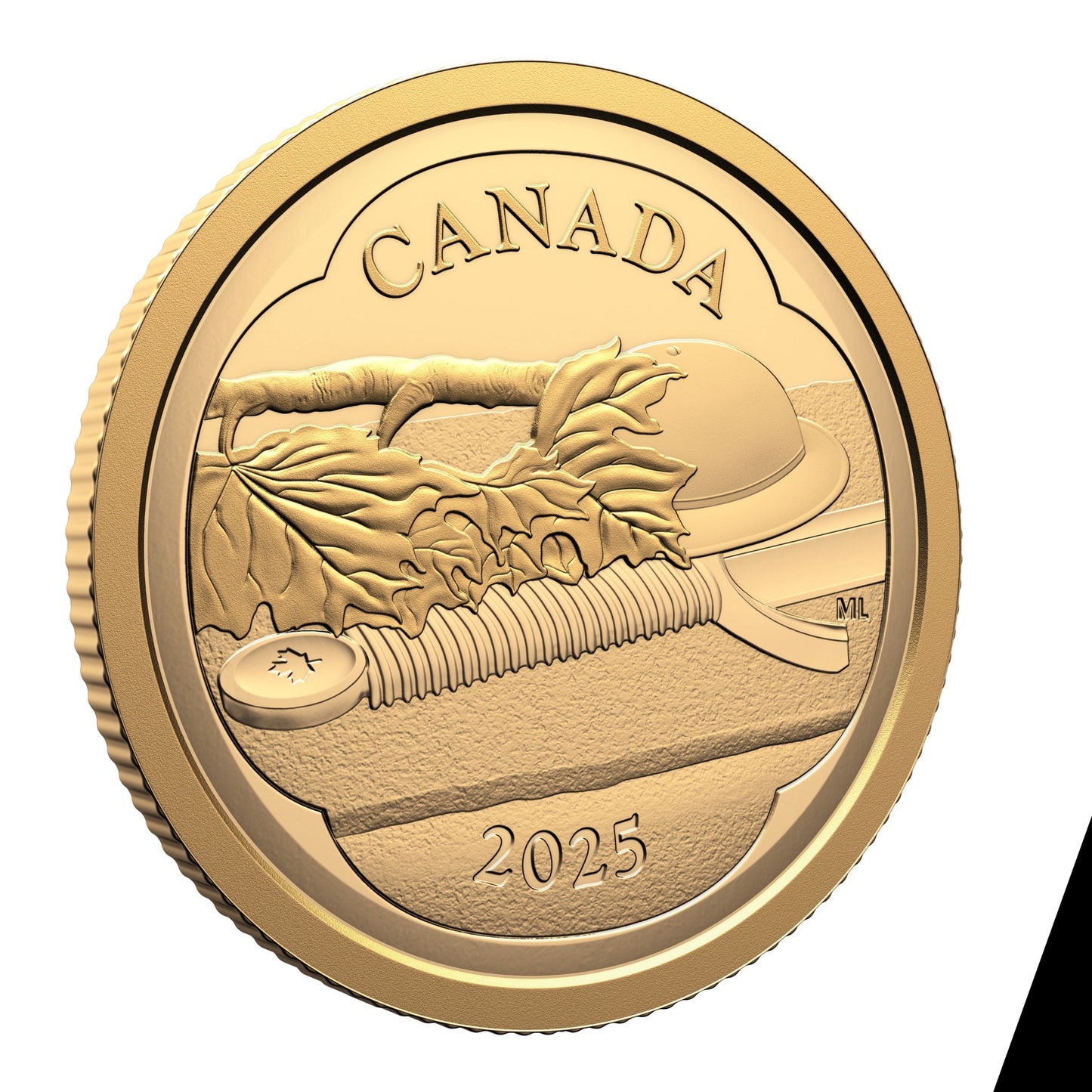 Tomb of the Unknown Soldier - Pure Gold Coin (2000–2025) (248941)