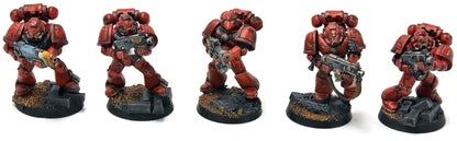 BLOOD ANGELS 10 Tactical Company #12 PRO PAINTED Warhammer 40K
