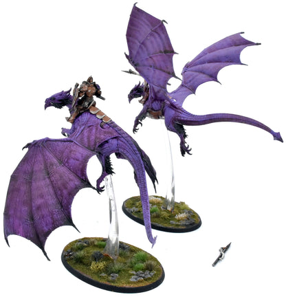 STORMCAST ETERNALS 2 Stormdrake Guards #2 WELL PAINTED Warhammer Sigmar