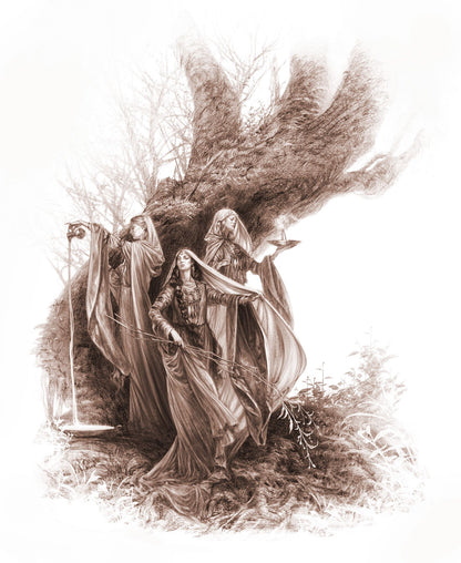 The One Ring Realms Of The Three Rings Hc