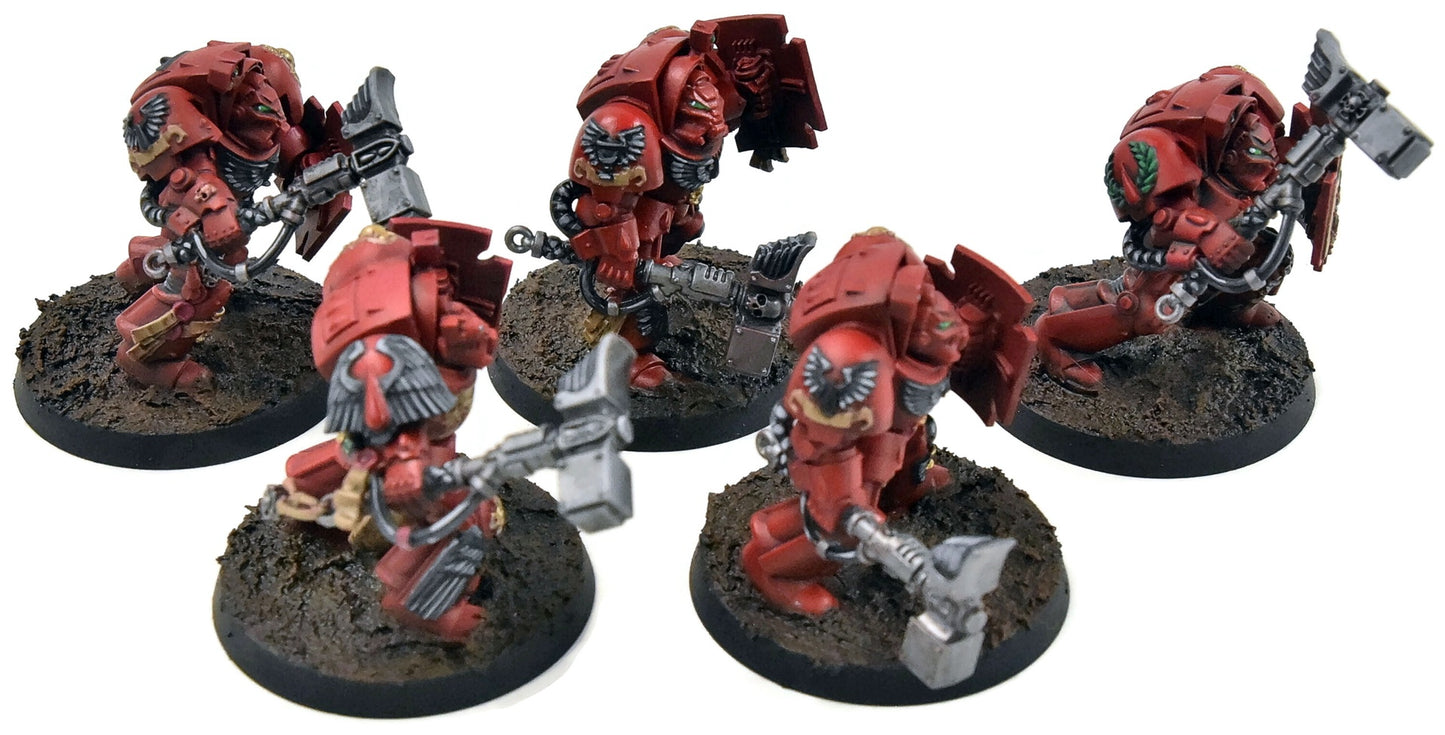 BLOOD ANGELS 5 Terminators #1 PRO PAINTED Warhammer 40K