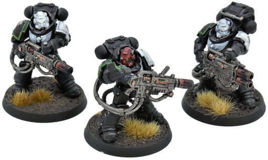 SPACE MARINES 3 Primaris Eradicators #1 WELL PAINTED 40K Raven Guard