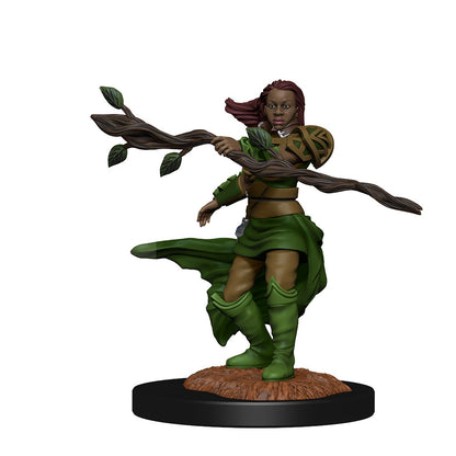 D&D Unpainted Minis Wv14 Human Druid Female