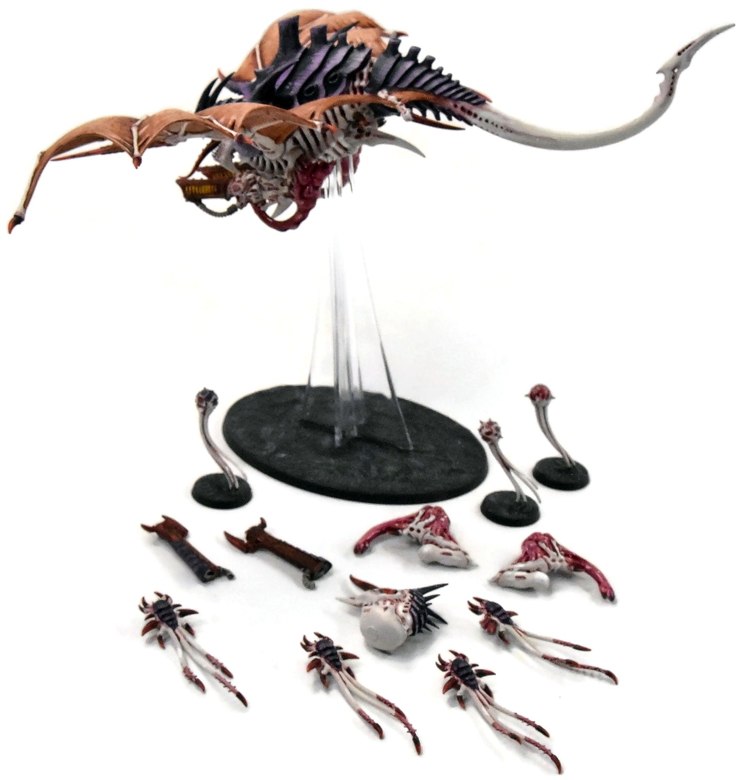 TYRANIDS Harpy Hive Crone #1 PRO PAINTED magnetized Warhammer 40K