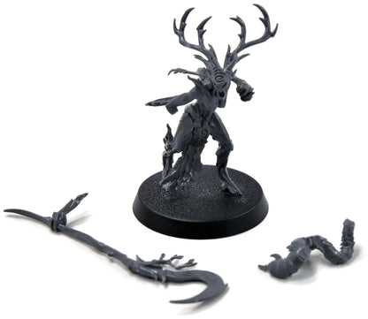 SYLVANETH Branchwych #1 Sigmar 8075