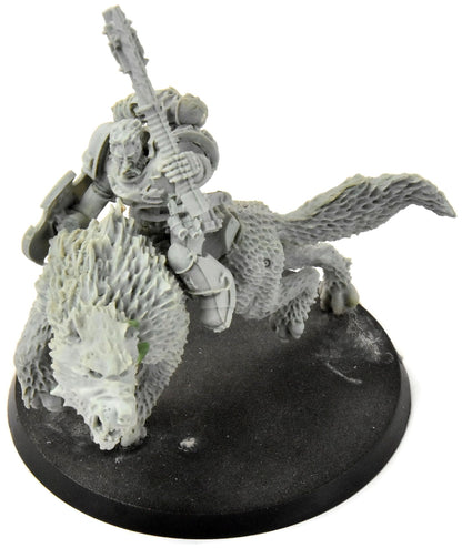SPACE WOLVES Wolf Lord on Thunderwolf #1 Warhammer 40K