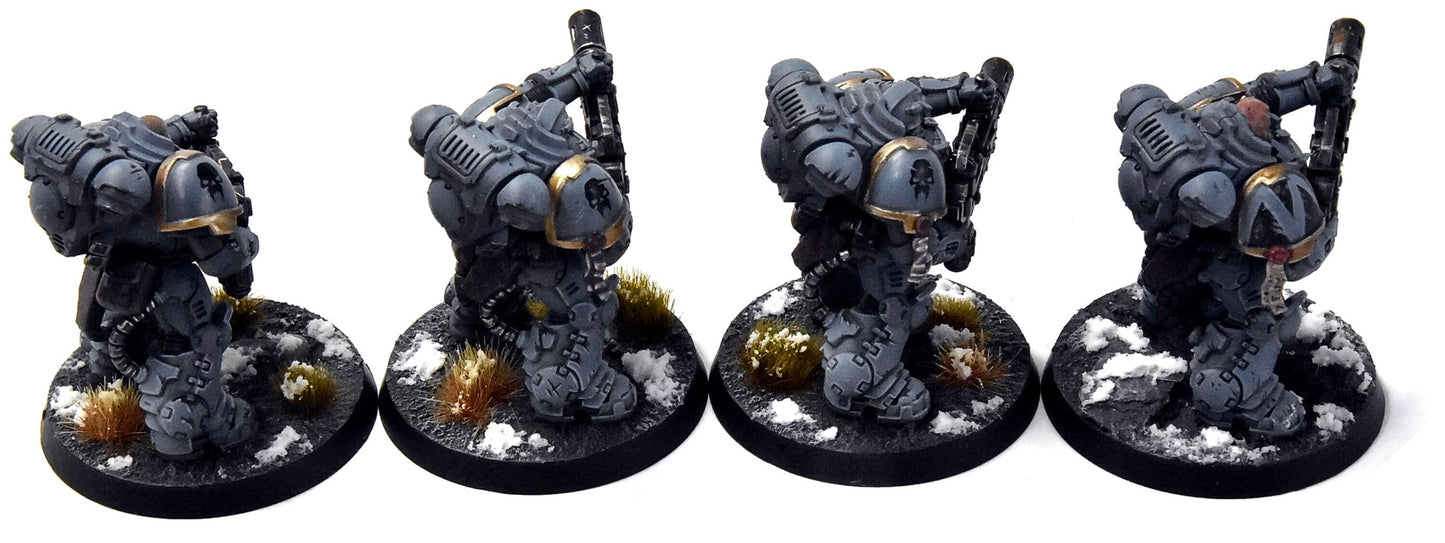 SPACE WOLVES 4 Eradicators #2 PRO PAINTED Warhammer 40K