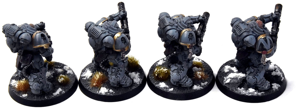 SPACE WOLVES 4 Eradicators #2 PRO PAINTED Warhammer 40K