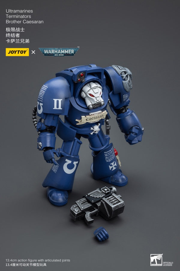 Terminators Brother Caesaran Ultramarines Joy Toy