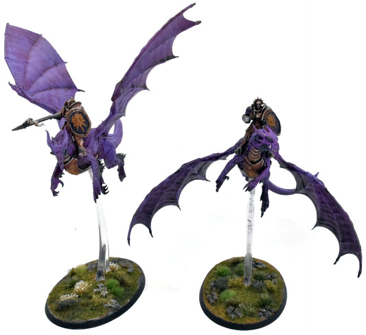 STORMCAST ETERNALS 2 Stormdrake Guards #2 WELL PAINTED Warhammer Sigmar