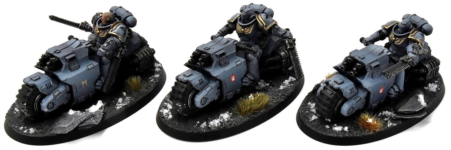 SPACE WOLVES 3 Outriders #1 PRO PAINTED Warhammer 40K