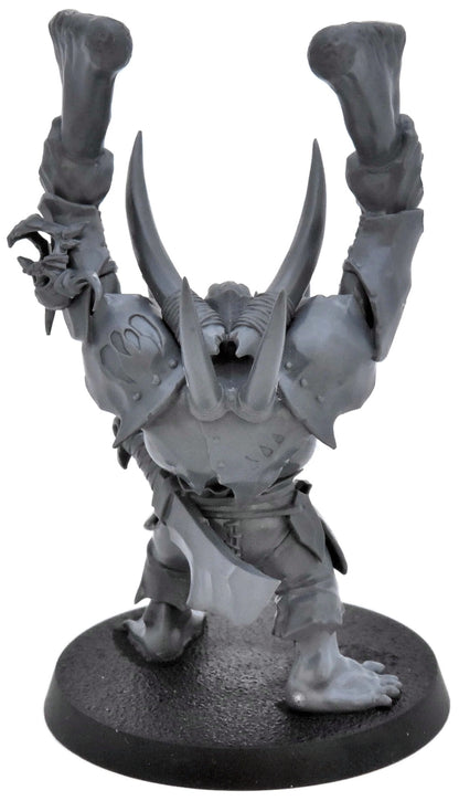 ORRUK WARCLANS Warchanter #1 Warhammer Sigmar 2701