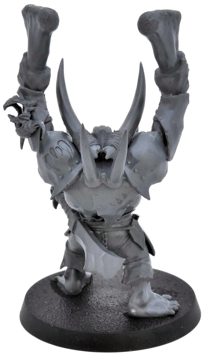 ORRUK WARCLANS Warchanter #1 Warhammer Sigmar 2701