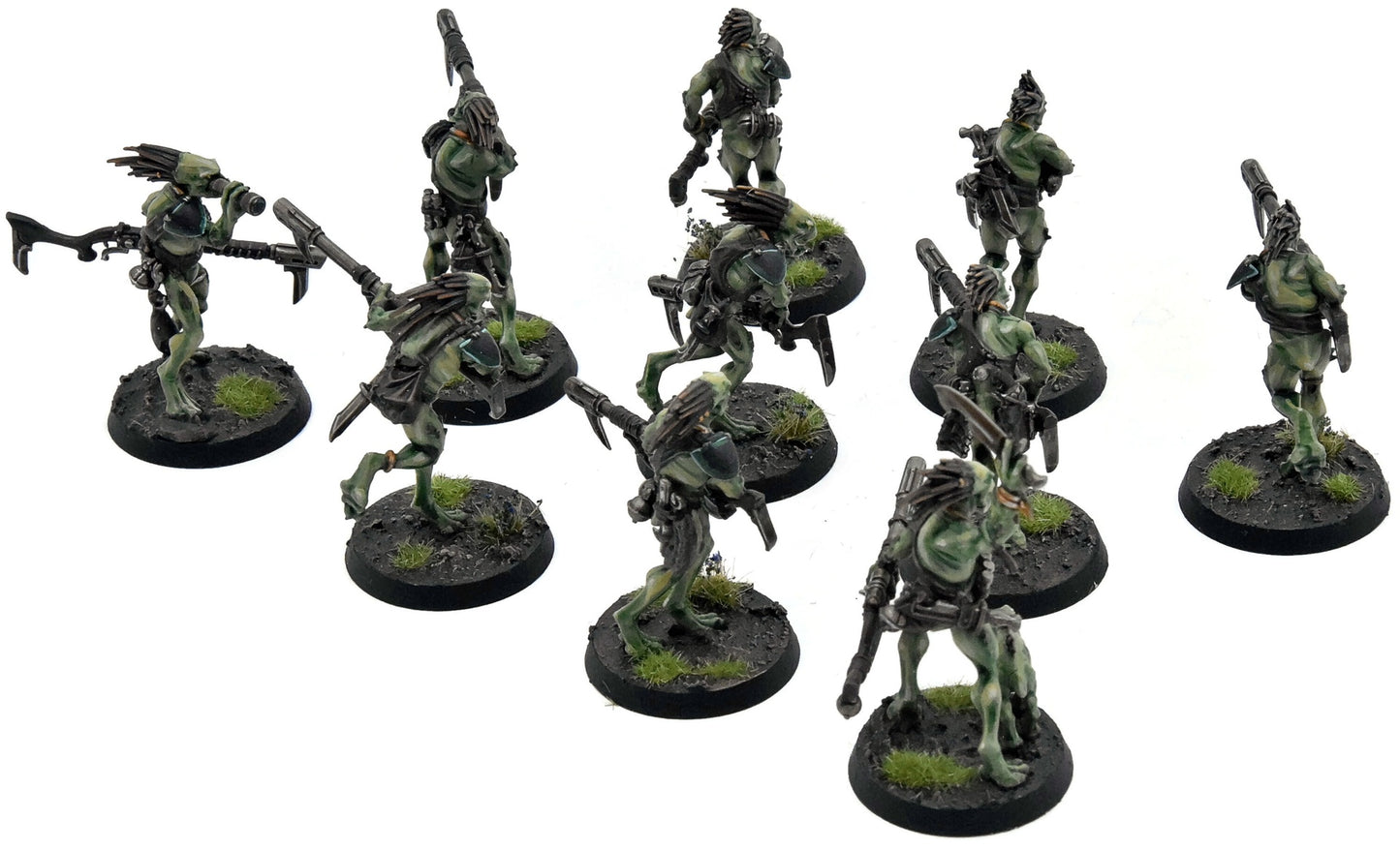 TAU EMPIRE 10 Kroot Carnivores #1 PRO PAINTED Warhammer 40K