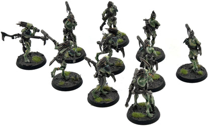 TAU EMPIRE 10 Kroot Carnivores #1 PRO PAINTED Warhammer 40K