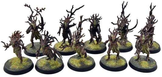 SYLVANETH 10 Dryads #3 WELL PAINTED Sigmar