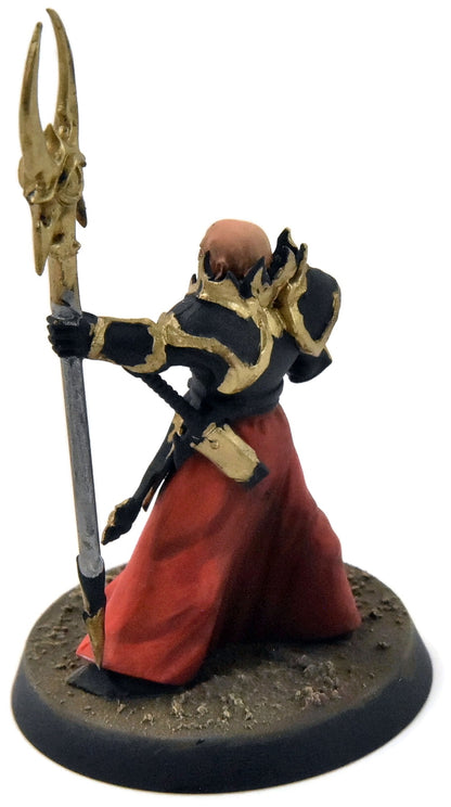 SLAVES TO DARKNESS Chaos Sorcerer Lord #1 WELL PAINTED Sigmar