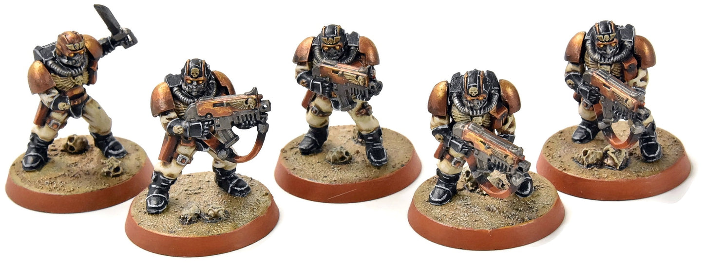 SPACE MARINES 5 Scouts #2 PRO PAINTED Warhammer 40K Alternate heads