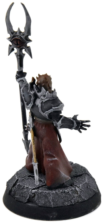 SLAVES TO DARKNESS Chaos Sorcerer Lord #1 WELL PAINTED Warhammer Sigmar