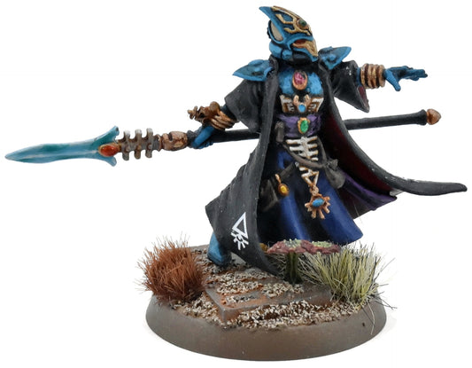 AELDARI Farseer #1 PRO PAINTED Warhammer 40K
