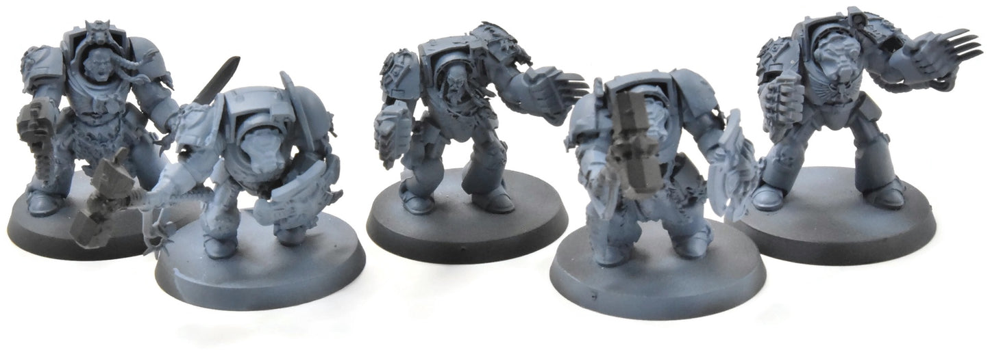 SPACE WOLVES 5 Wolf Guard Terminators #2 Warhammer 40K