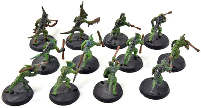 LIZARDMEN 10 Skink #1 Warhammer Fantasy