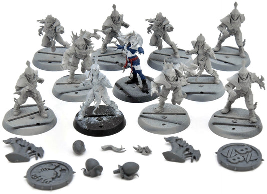 BLOOD BOWL Dark Elves Team #1 Missing Wych Elf Warhammer Fantasy