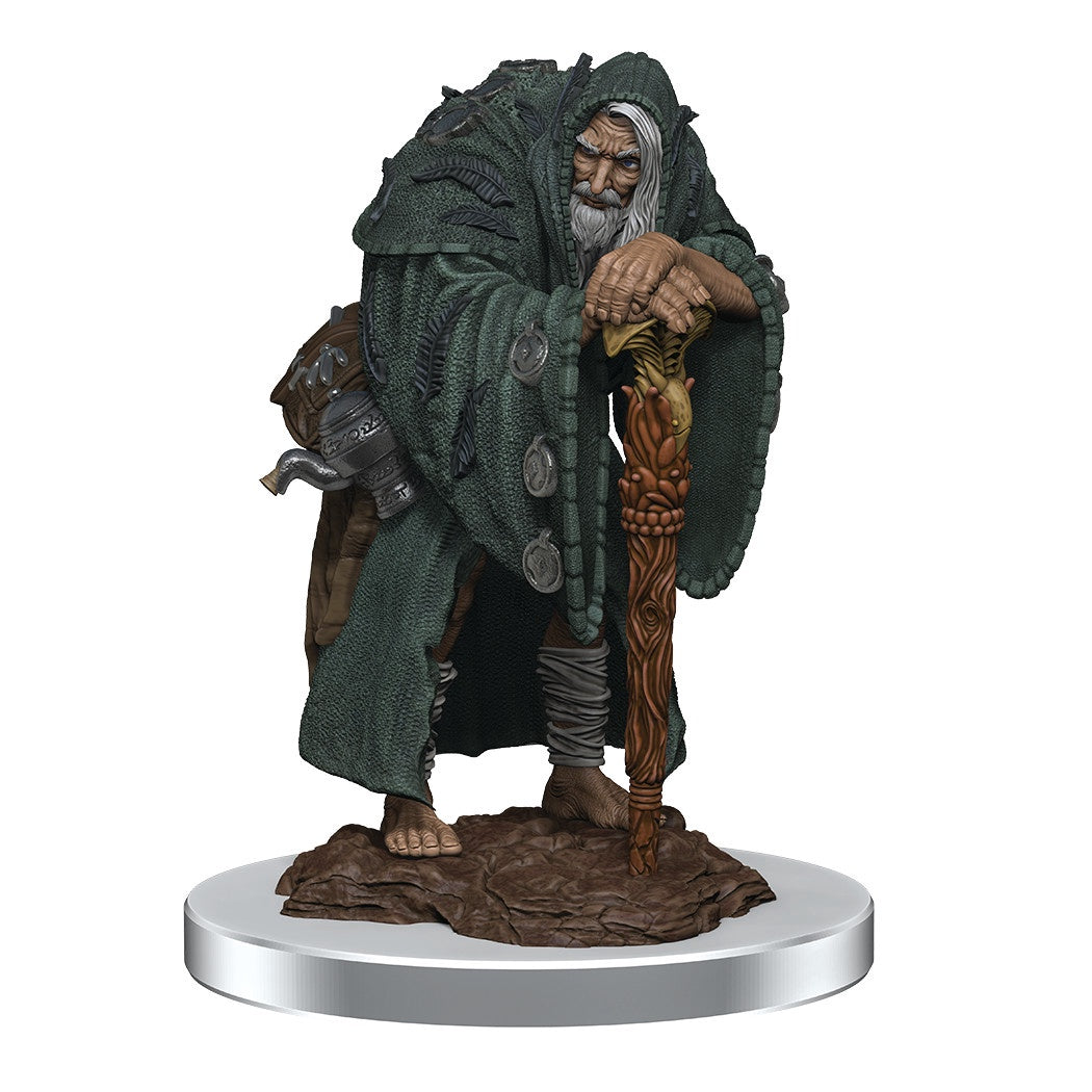 D&D Nolzur’s Marvelous Miniatures - Wereravens
