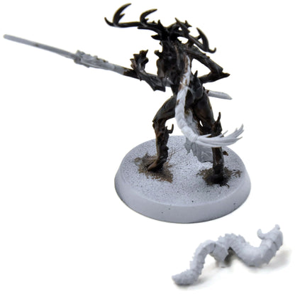 SYLVANETH Branchwych #1 Sigmar 5683