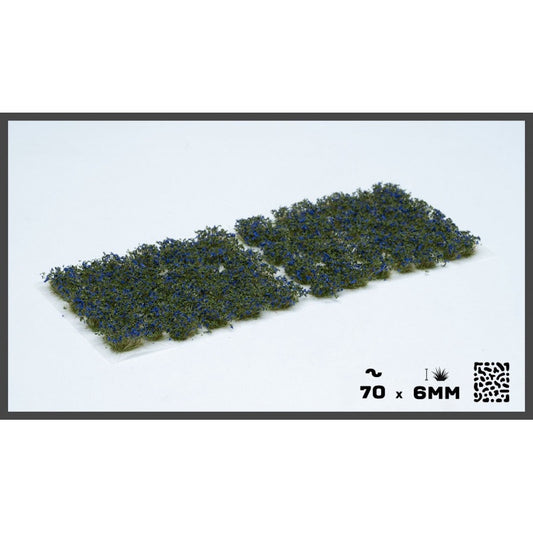 Blue Flowers - Wild