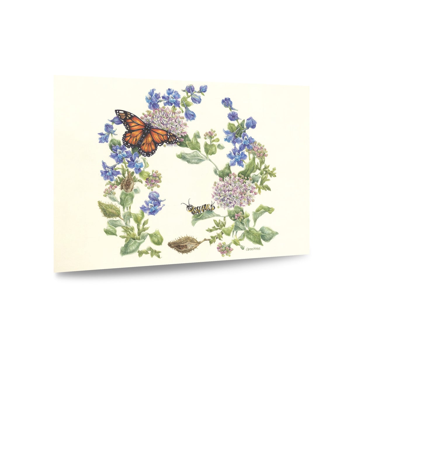 Murano Monarch Butterfly – Half Kilo Fine Silver Coin