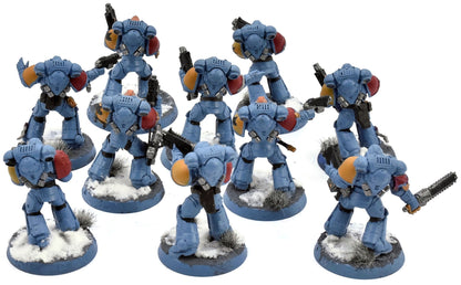 SPACE WOLVES 10 Intercessors #1 Warhammer 40K WELL PAINTED