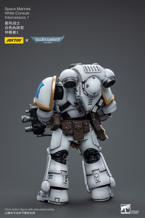 White Consuls Intercessors 1 Space Marines Joy Toy