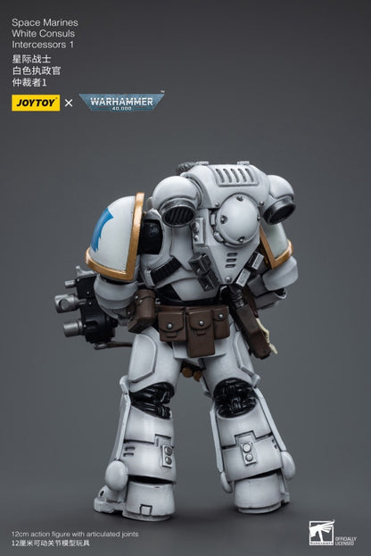 White Consuls Intercessors 1 Space Marines Joy Toy