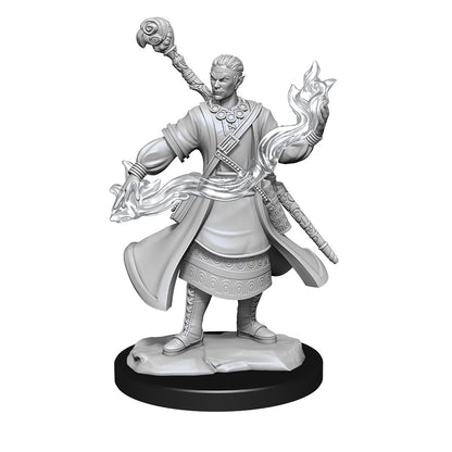 D&D Unpainted Minis Wv14 Half-elf Wizard Male