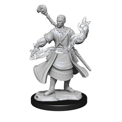 D&D Unpainted Minis Wv14 Half-elf Wizard Male