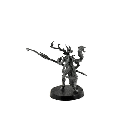 SYLVANETH Branchwych #1 Sigmar