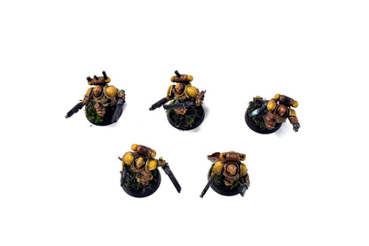 SPACE MARINES 5 Assault Intercessors #1 PRO PAINTED Minotaurs 40k