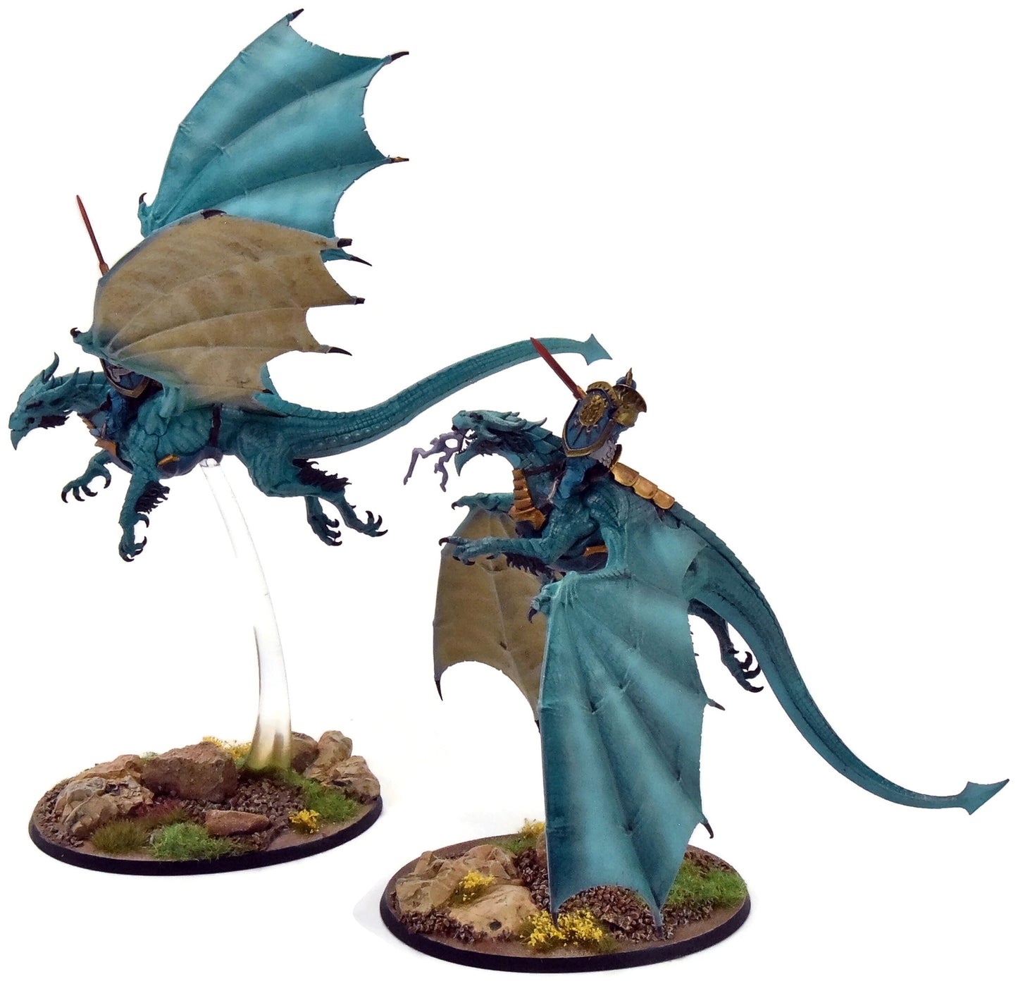 STORMCAST ETERNALS Knight-Draconis #1 WELL-PAINTED Sigmar