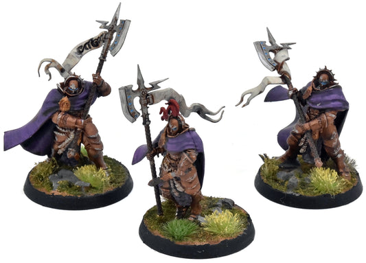 STORMCAST ETERNALS 3 Praetors #1 WELL PAINTED Warhammer Sigmar 0400